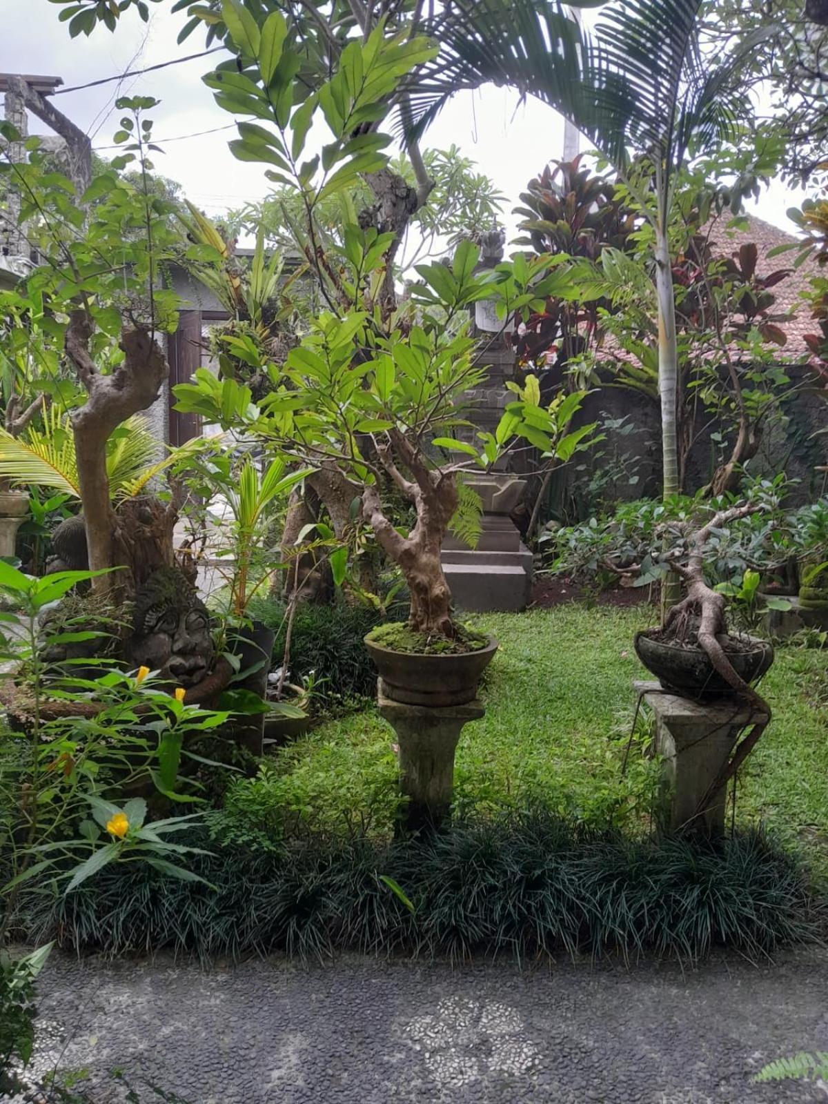 Soka Homestay Ubud  Exterior photo